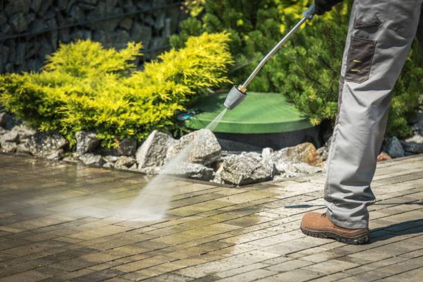 Best Boat and Dock Cleaning  in Riner, VA