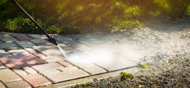 Best Sidewalk and Walkway Cleaning  in Riner, VA